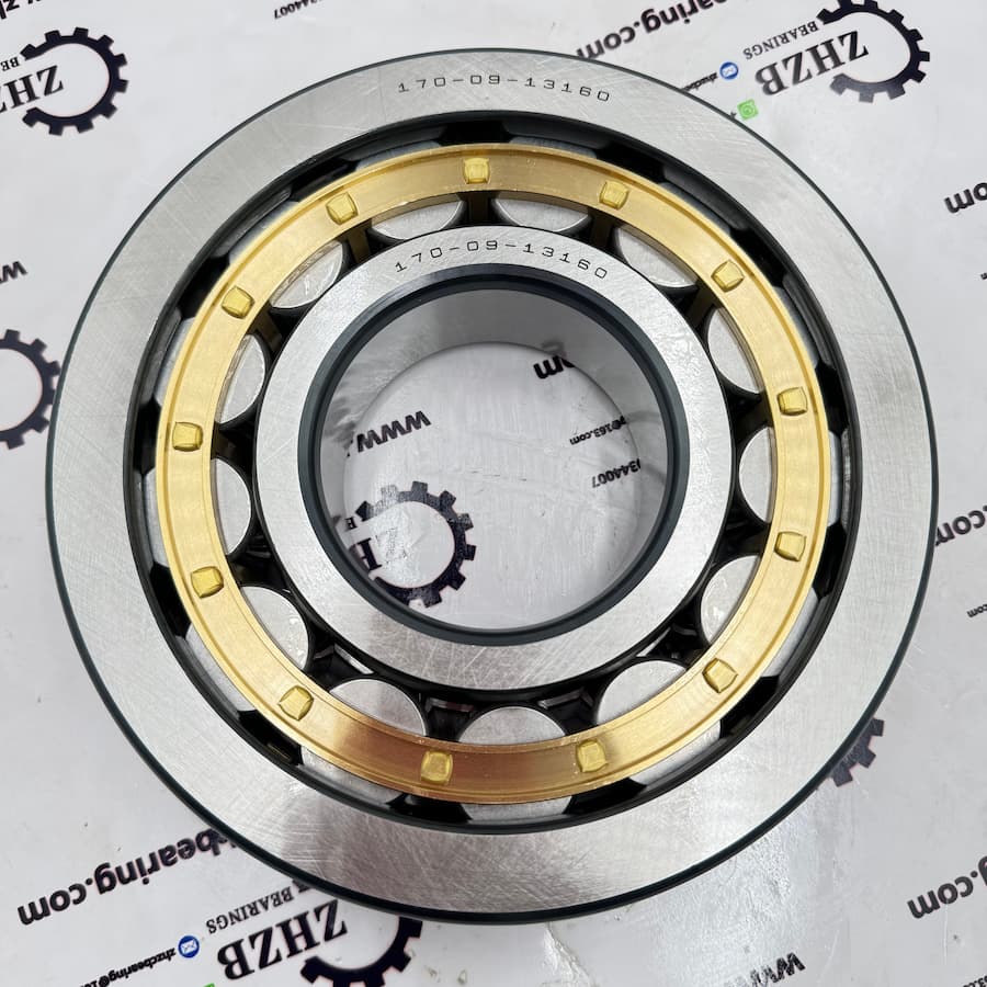 Cylindrical Roller Bearing 170-09-13160